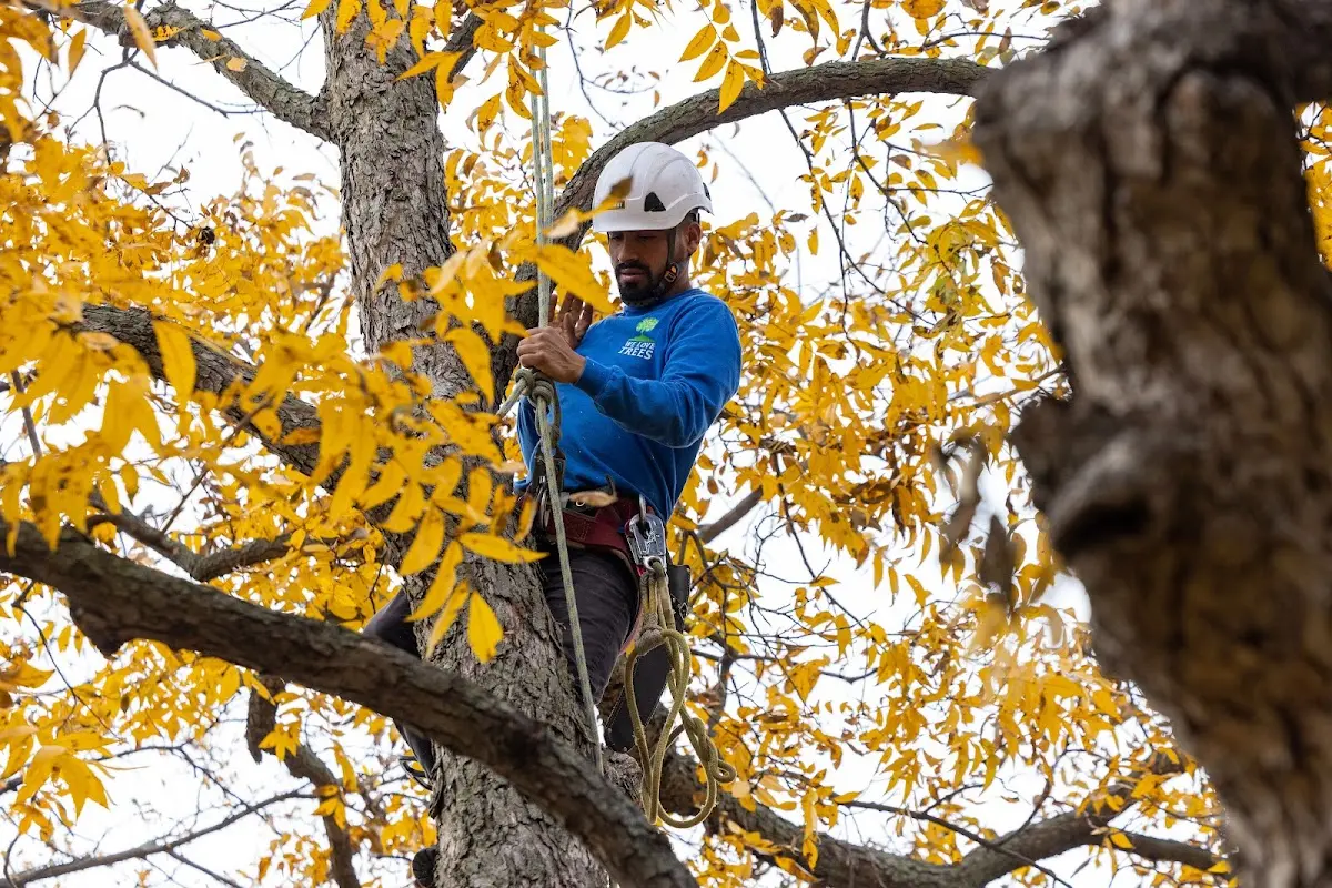 Skilled Storm Damage Cleanup crew working in Bunkerville